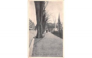 The Elephant Tree in Worcester, Massachusetts Front Street.