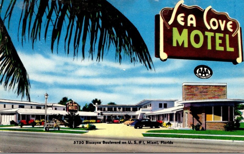 Florida Miami Sea Cove Motel 1955