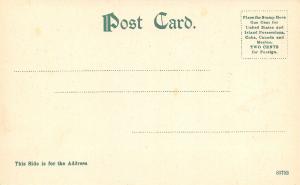 Rangely Lake Maine~Waves Pound Shoreline~Birch Trees~Pink Sky~1905 Postcard