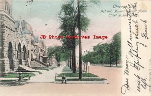 IL, Chicago, Illinois, Ashland Blvd, Looking South, Schastian Pub No 11