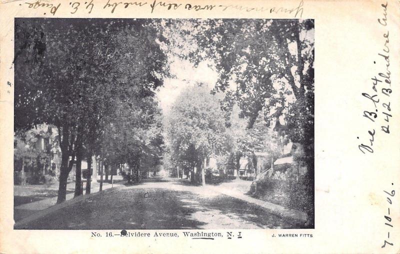 Washington New Jersey~Belvidere Avenue Homes~Trees Along Street~1906 B&W PC 