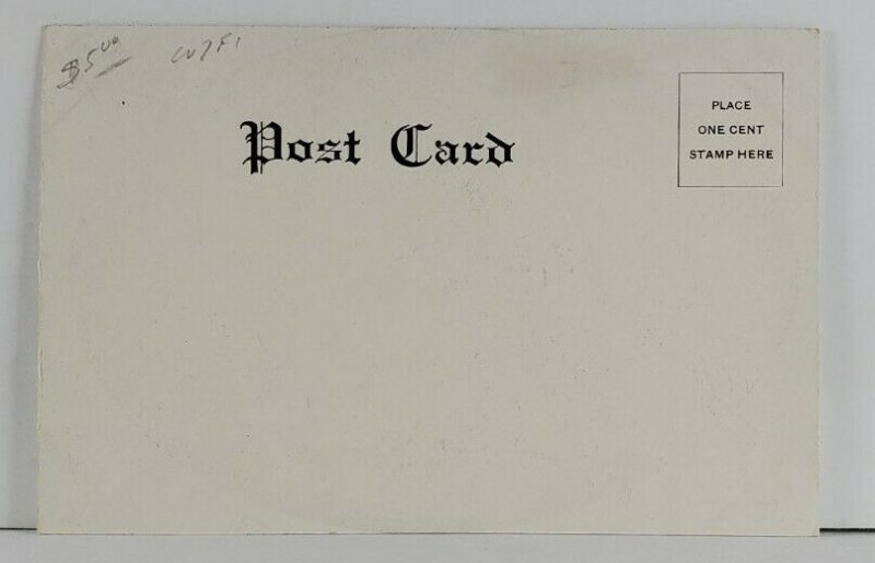 Ezra Meeker On the Wharf Tacoma Washington Postcard Q6 