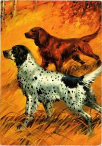 CPM English & Irish Setter CHIEN (717207)