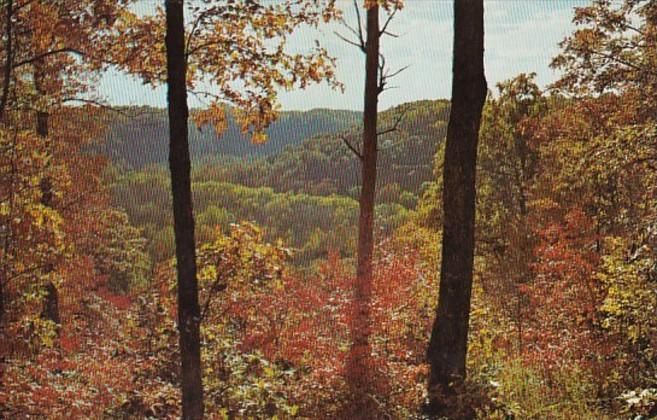 Kentucky Mammoth Cave National Park Sunset Point Overlook Autumn Scene