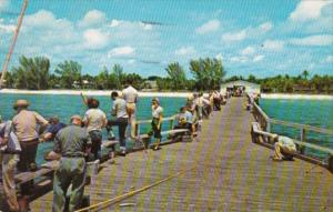 Fishing From 1,000 Foot Municipal Pier Naples-On-The-Gulf Florida 1959