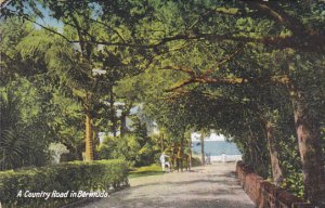 Bermuda A Country Road 1937