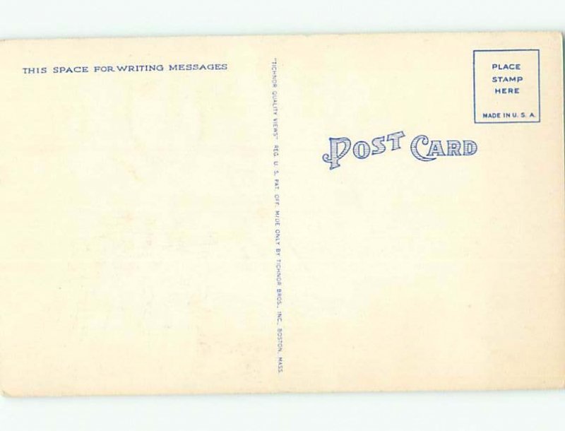 Pre-1980 Risque DOG WATCHES GIRL WHO WAS WEARING NO PANTS AC7157