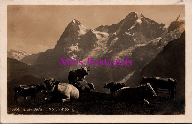 Genealogy Postcards - 3 x Callard, Colmore Row, Birmingham, Warwickshire GL2381