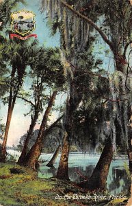 On the Tomoka River Trees Jacksonville FL