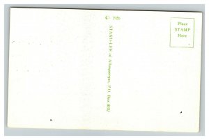 Vintage 1956 Postcard Bull Throwers Association Certificate Funny