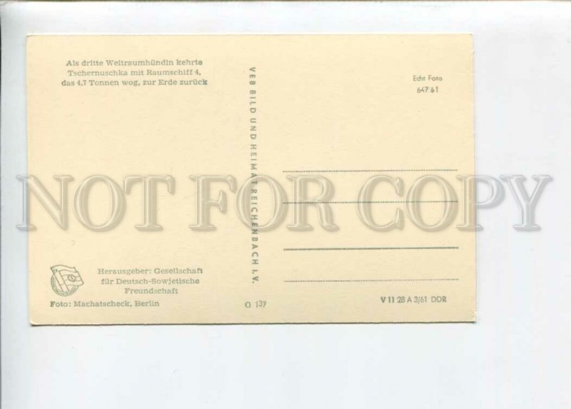 3133677 GERMANY SPACE PROPAGANDA old postcard Chernushka dog