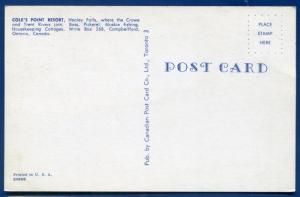 Cole's Point Resort Ontario Canada chrome postcard