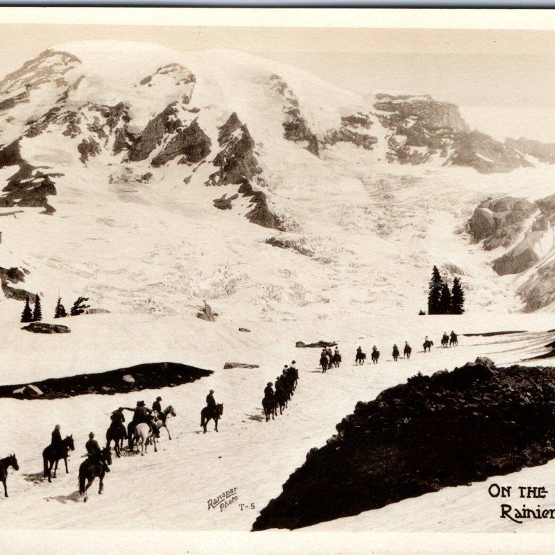 c1920s Rainier National Park WA RPPC Skyline Trail Horse Real Photo Ranapar A165