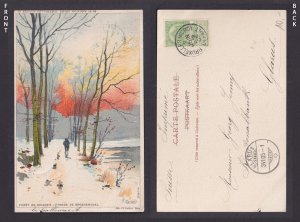 Vintage Postcard Belgium Ranot Soignes Forest 1905