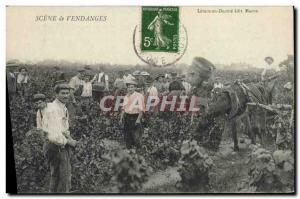 Postcard Old Wine Harvest TOP