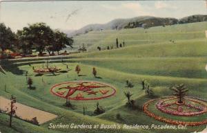 California Pasadena Sunken Gardens At Muschs Residence 1910