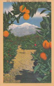 California Oranges and Snow Capped Mountains