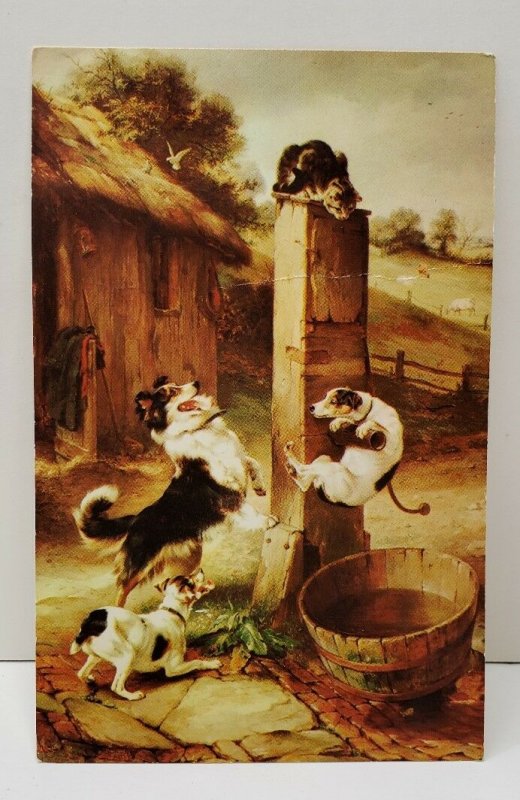 BAFFLED by Walter Hunt English Art, Cats & Dogs Postcard C22