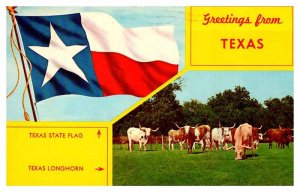Postcard ANIMAL SCENE State of Texas TX AR4247