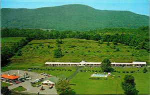 Vtg Bennington Vermont VT Darling Kelly's Motel Aerial View Postcard