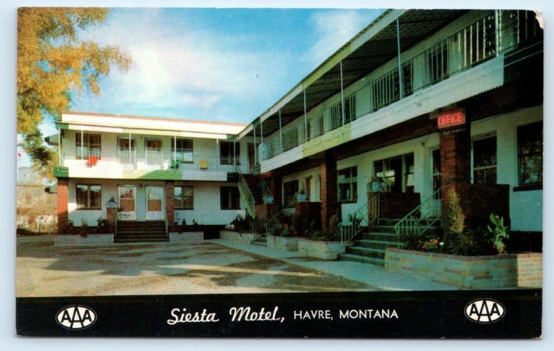HAVRE, MT Montana ~ SIESTA MOTEL c1960s  Roadside Hill County Postcard