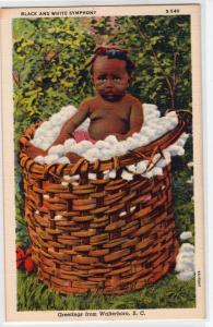 Black American, Black & White Symphony