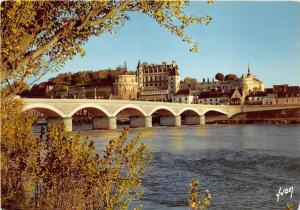 B31476 Val de Loire Amboise le Chateu et le Pont sur Loire   france