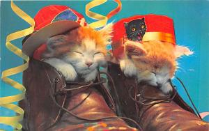 Enjoyed the Party, Lamar, MO Cat Unused 