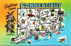 Connecticut Greetings With State Map and Flower