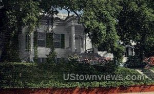 Green Leaves in Natchez, Mississippi