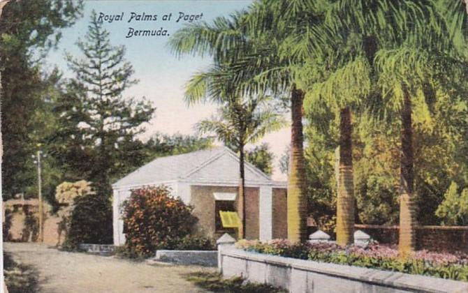 Bermuda Royal Palms At Paget