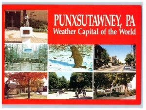 Weather Capital Of The World Punxsutawney Pennsylvania PA Multiview Postcard 