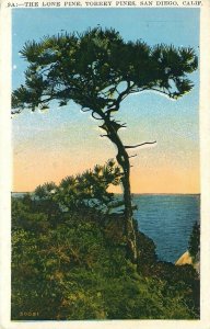 The Lone Pine at Torrey Pines, San Diego, California Vintage Printed Postcard