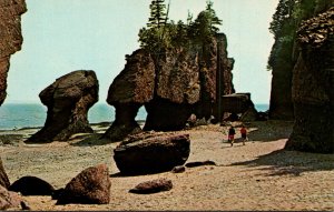 Canada New Brunswick Hopewell Cape The Rocks