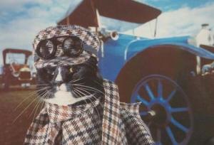 Cat Cats As Classic Racing Race Car Driver Country Vintage Goggles Hat Postcard