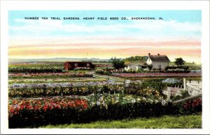 Postcard Number Ten Trial Gardens, Henry Field Seed Co in Shenandoah, Iowa