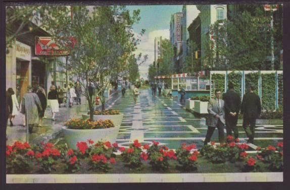 Street Shopping Malls,Ontario,Canada Postcard 