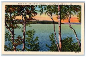 c1930's Scene Of The Lake Near Waukesha At Moody Tupper Lake NY Vintage Postcard 