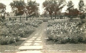 Antelope Cook Roses Park RPPC Photo Postcard Lincoln Park B-26 20-6108