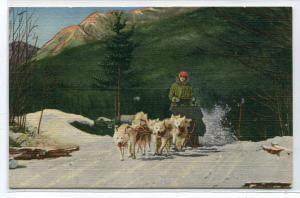 Husky Dog Sled Team North Woodstock New Hampshire linen postcard
