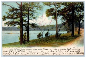 1908 Scenic View Of Orchard Lake Michigan MI, Rotograph Antique Posted Postcard 