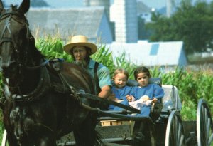 Postcard Amish Country Father And His Two Daughters Riding In Courting