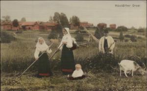 Denmark or Norway? Native Women Farming c1910 Tinted Real Photo Postcard