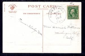 A Joyful Easter,Chicks