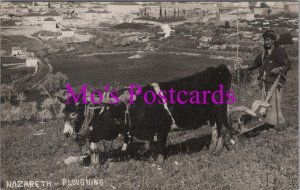 Agriculture Postcard - Nazareth Ploughing With Oxen and Asses   HM10A