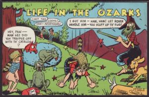 Life in the Ozarks,Hillbilly Comic Postcard