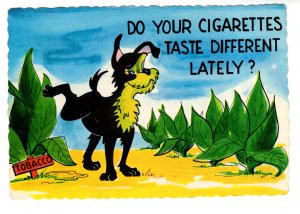 Tobacco Humour, Do Your Cigarettes Taste Different, Dog Urinating on Plant