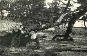 Shimmaiko Sea-shore seashore Owari Japan children playing on tree Postcard