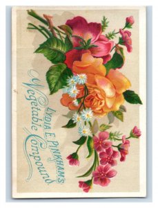 1880s Lydia E. Pinkham's Vegetable Compound Haywards CA Drug Store #2 P193