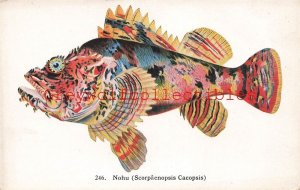 Nohu, Scorpaenopsis Cacopsis, Scorpionfish, Art Print